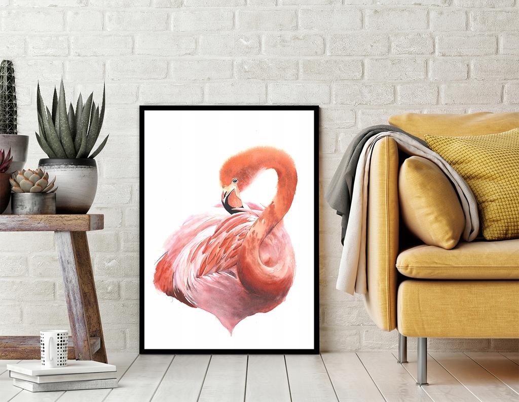 Picture Poster In a Frame 43x33 Cm Flamingo P1233