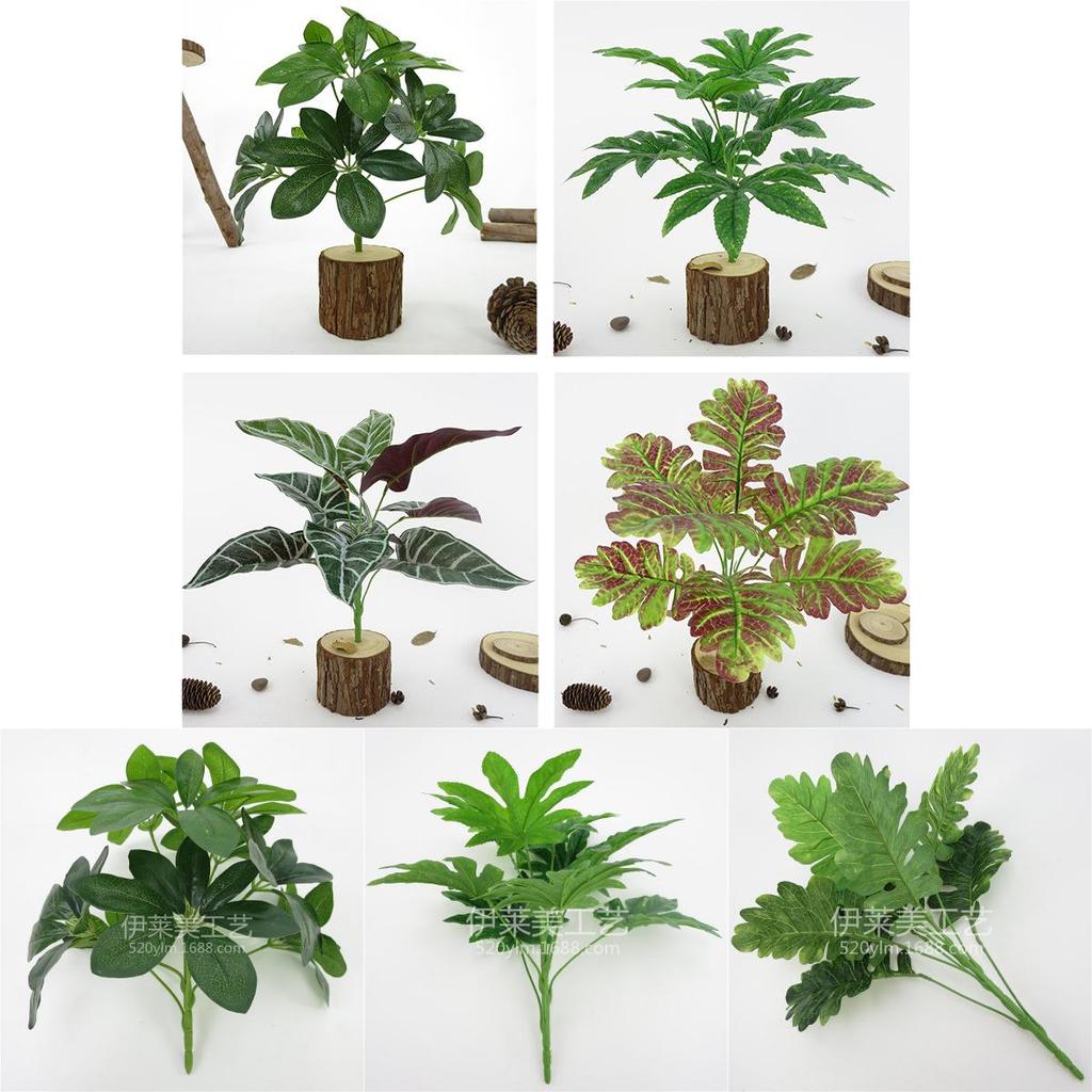 Fake Plant Wall Decoration With Varied Leaf Types For Interior Design And Creative Photography