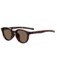 sunglasses UNITED Features polarized thick stylish UV suitable for men and ideal for [Zoff] Boston-style (Brown (Demi pattern) ZA261G04_49A1) ARROWS.