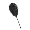 BDSM Feather Teaser Wand with Black Feathers Soft Sensual Tickler for Couples' Foreplay & Roleplay Lightweight Discreet Adult Toy for Intimate Play &