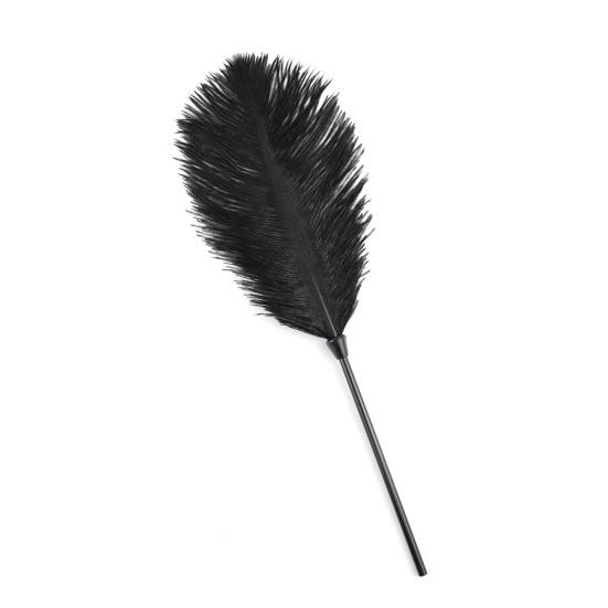BDSM Feather Teaser Wand with Black Feathers Soft Sensual Tickler for Couples' Foreplay & Roleplay Lightweight Discreet Adult Toy for Intimate Play &