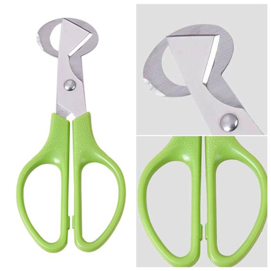 Quail Egg Scissors with Non-Slip Handle Egg Shell Cutter Stainless Steel Blade Egg Cutter Shears Easy Clean Kitchen Tool for Precise