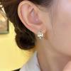 Niche Design Feeling Ice Transparent Opal Double-sided Water Drop Ear Buckle Exquisite Versatile Earrings Temperament Light Luxury Simple Earrings