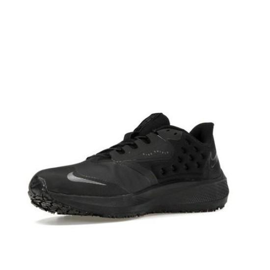 Nike Air Zoom Pegasus 39 Shield Low Black DO7625-001