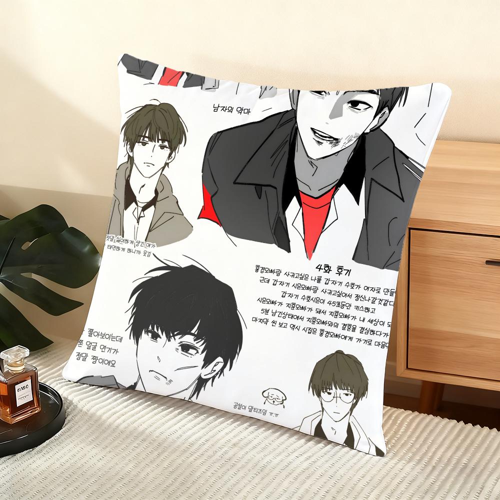 Cushion Cover Silky Short Plush Home Sofa Cushion Cover - Invisible Zipper Home Decoration WeakHero TV Series
