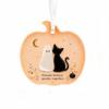Halloween Cute Acrylic Pumpkin Hanging Ornament Gift for Sisters and