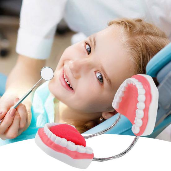 6X Enlarged Dental Teaching Model with Tongue Removable Teeth for Brushing Practice PVC Oral Demo Tool for Kids Students