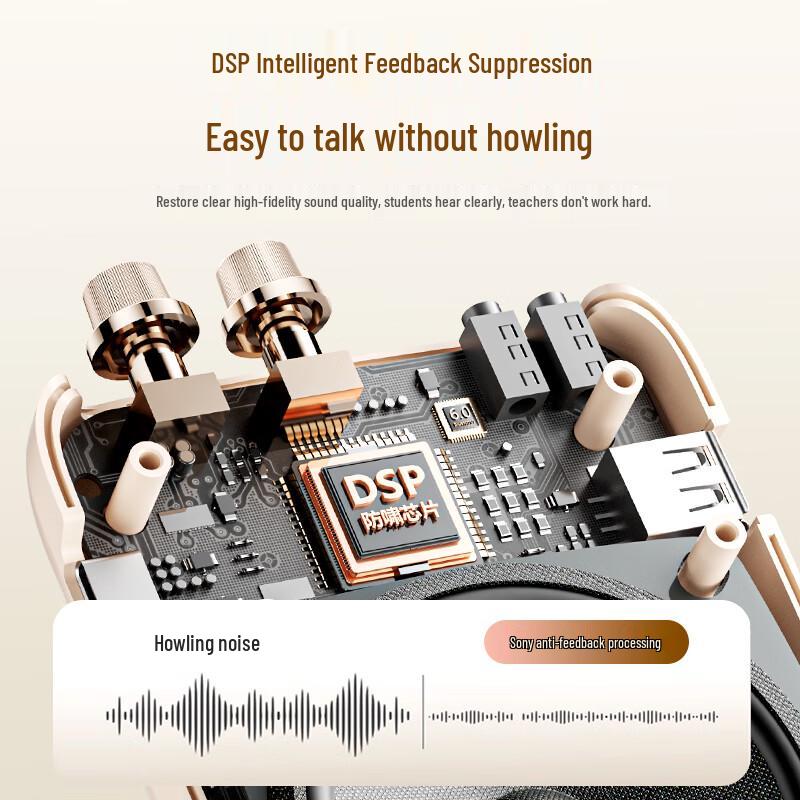 Soaiy S-318Pro Wireless Dual-Mic Lavalier Amplifier Speaker CN Plug (adapter Included)