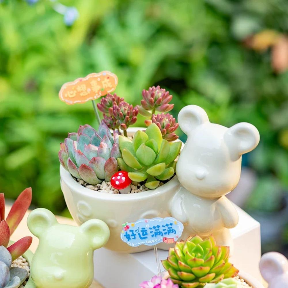 Creative Ceramic Bear Flowerpot with Hole Succulent Plant Pot Lovely Small Bonsai Pots  for Garden