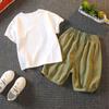 Boys' 2-Piece Cotton Set - Summer Cartoon Dinosaur Printed T-shirt + Shorts High - Quality Casual Outfit - 6M-5Y