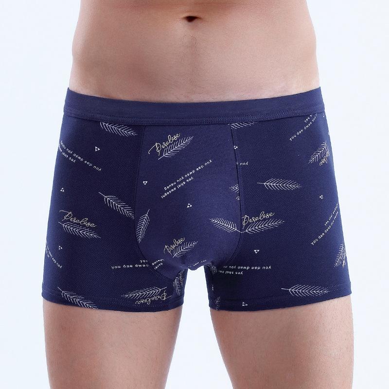 Men's Pure Cotton U-shaped Flat Angle Pants with Three-dimensional Printing At The Waist Men's Underpants Men’s