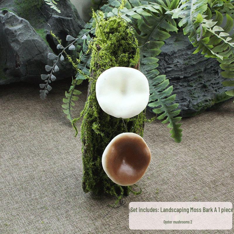 Artificial Moss Turf Carpet for Indoor & Outdoor Decoration