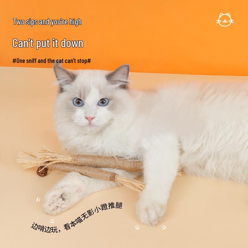 Catnip Wood Teething Stick: Dental Cleaning Toy for Cats