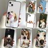 Beagle Dog Case For Samsung Galaxy S25 S24 S23 Ultra S9 S10 S20 S21 S22 Plus S23 FE S25 FE Phone Cover