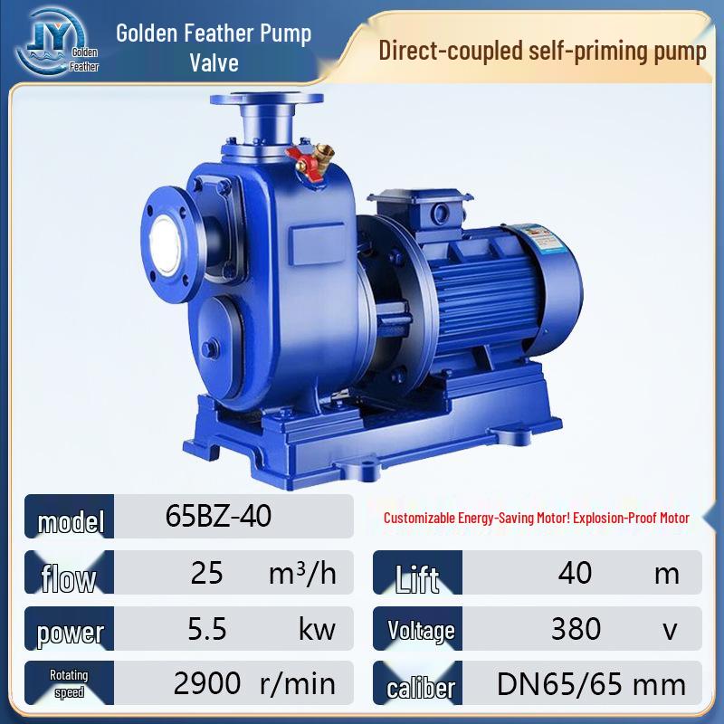 BZ 380v High Suction Self-Priming Centrifugal Pump for Industrial Booster Circulation