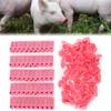 Schwein Rind und Schaf Ohrmarke Nutztier Identifikationskarte Ziege Ohrmarke 100er Pack