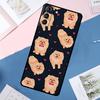 Pomeranian Dog Case For Samsung Galaxy S24 Ultra S20 S21 S22 S23 S25 Ultra S9 S10 Plus S25 FE Back Cover