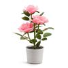 Solar Rose Garden Led Lamp With 3d Illumination For Patio And Garden Decor