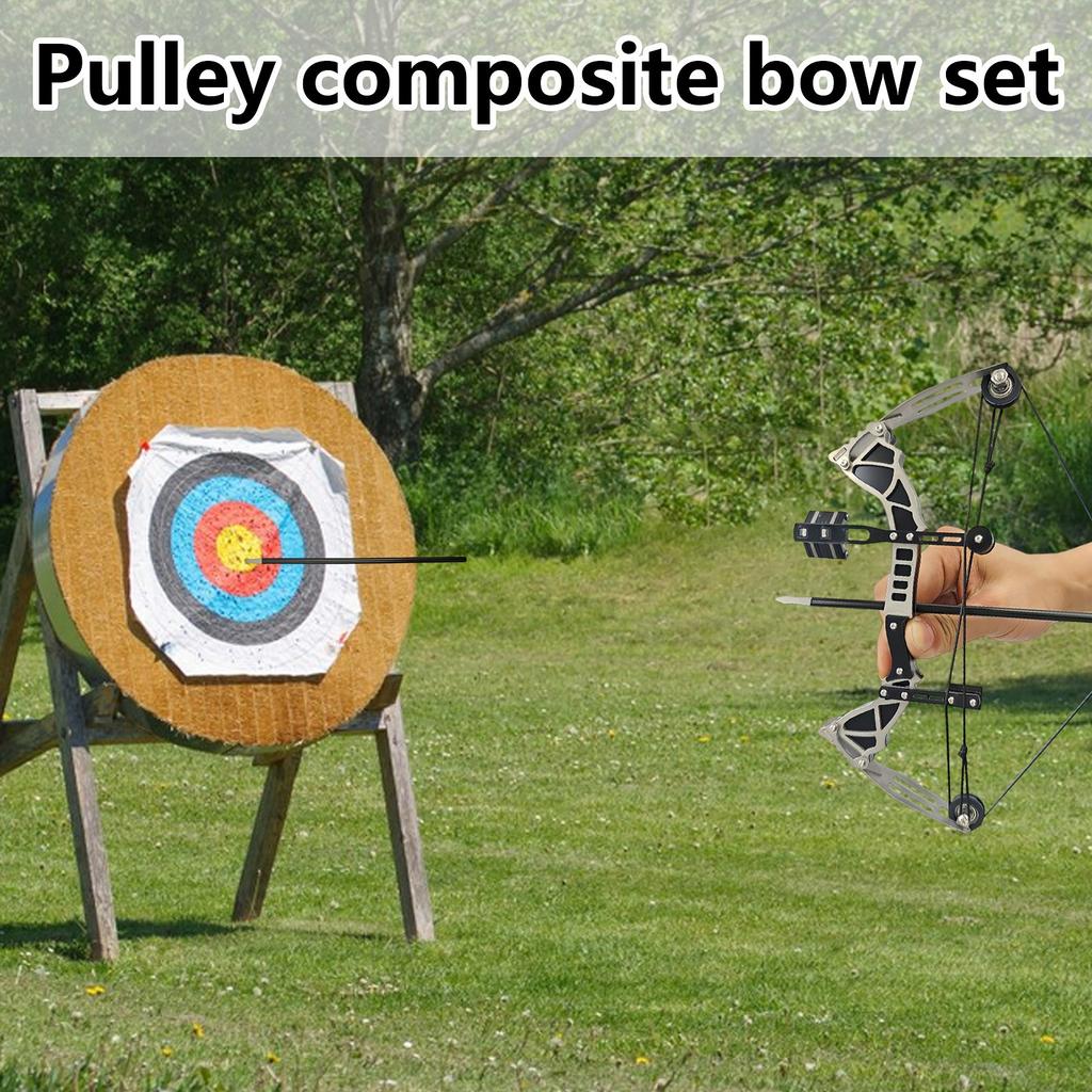 High Power Compound Bow Set Stainless Steel Pulley Toy For Indoor Outdoor Shooting & Stress Relief