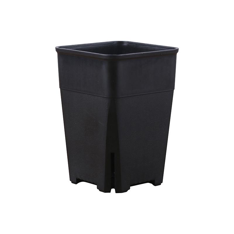 Square Euphorbia Obesa Succulent Pot with Side Drainage Holes, Breathable Plastic for Haworthia, 2022 Edition