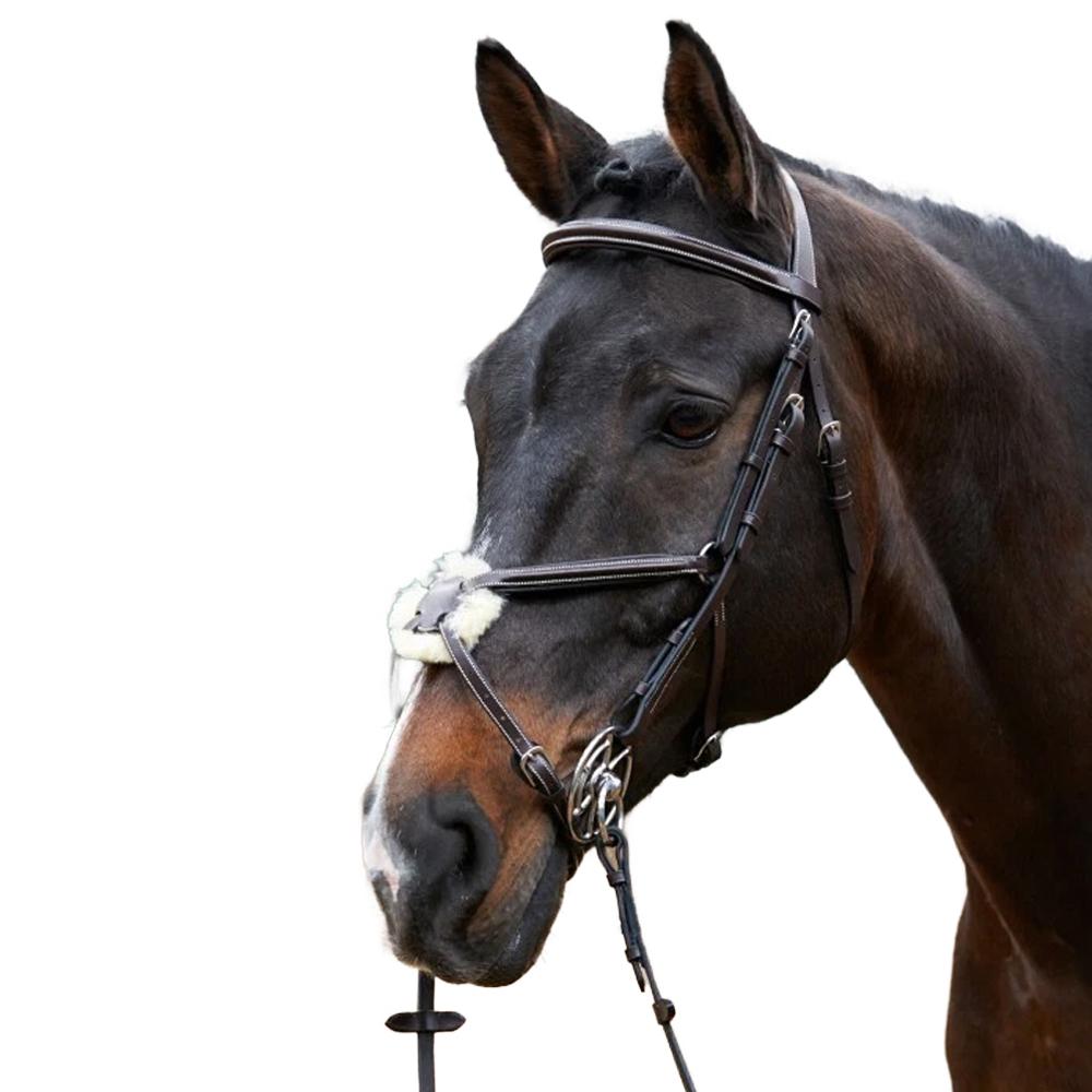 Whitaker Eastwood Mexican Leather Horse Bridle With Reins