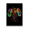 Anatomia Umana Muscoli DNA Neuro Arte Murale Pittura su Tela Poster e Stampe Mappa del Corpo Immagini Murali Educazione Medica Decorazione per la Casa