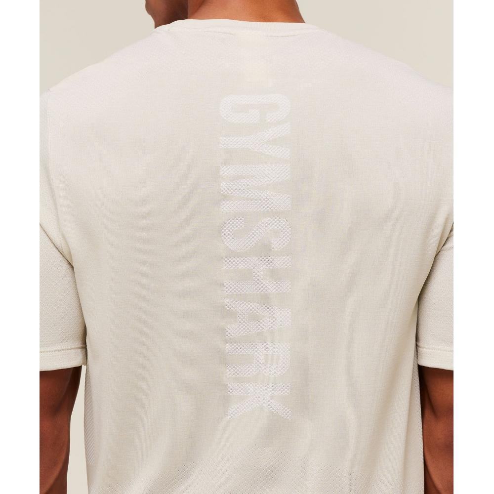 Gymshark LighTweighT Seamless T shirT Pebble Grey whiTe A2c7m Gcf1