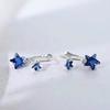 REETI 925 Silver Earrings Blue Star Earrings For Women Gift Jewelry Korean