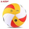 Star Training & Competition Volleyball, Size 5