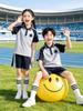 Liaoning Shenyang Primary School Summer Uniform Set for Students - Multi-piece, All-Season Wear