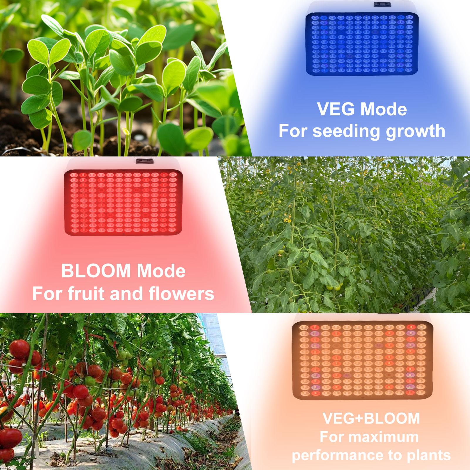 

Full Spectrum Plant Grow Light Adjustable Indoor Growing Lights for Vegetables Sprout Starting Hanging Type US Version