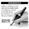 Platinum Fountain Pen Plaisir Medium Nib PGB-1000B [All 2 Colors]