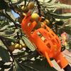Garden Basket Fruit Pickers Head Fruit Pickers Picking Loquat Picking Bayberry Jujube Plastic Fruit Picking Tool