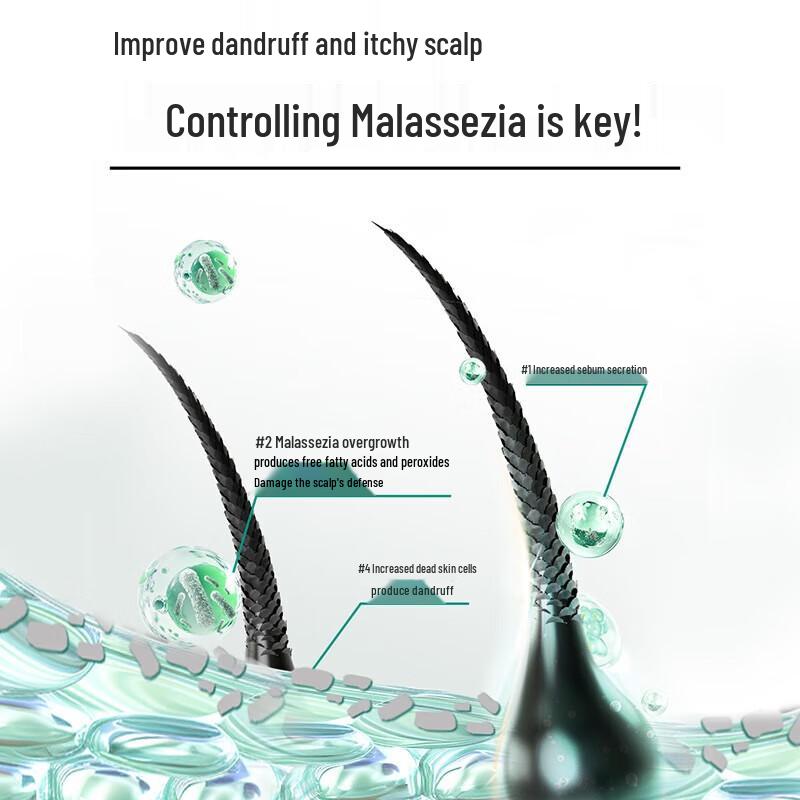 ShuLei Oxygen Active O₂ Dynamic Oil Control Anti-Dandruff Shampoo