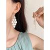 1 Pair Of Niche Design Shell Tassel Earrings, Retro High-End Temperament Earrings For Women