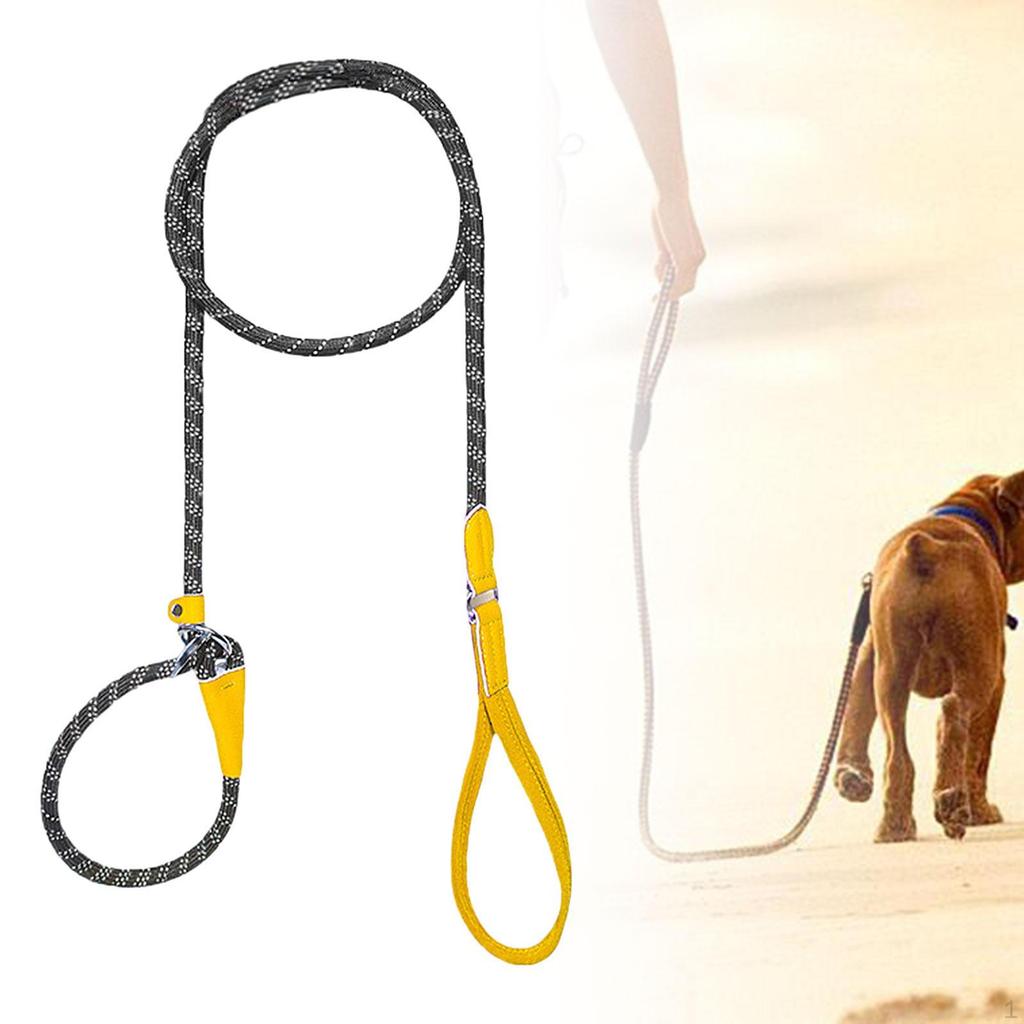 Dog Leash for Active Medium To Large Pets