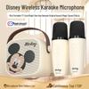 Disney Kids Wireless Dual Karaoke Microphones CN Plug (adapter Included)