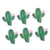 6pcs Beautiful Embroidered Prickly Pear Patches Prickly Pear Shape Sew On Patches  Bags