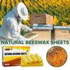Insekten – Bienenzucht