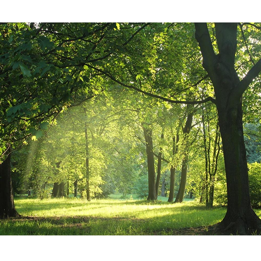 Green Tree 3d Wallpaper Forest Scenery Wall Mural Living Room Bedroom Photo Wall Mural Home Decoration