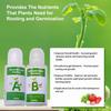 2/4pcs/Box General Hydroponic Nutrient Plant Fertilizer A and B Solution Kit for Vegetable Fruit Flower Plant Growing Nutrients