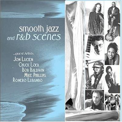 CD VARIOUS - Smooth Jazz & R&B Scenes Non Japan Jazz Used