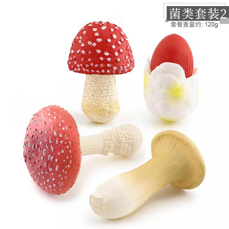 Realistisches Pilzset mit essbaren Shiitake-, Enoki-, Matsutake-Pilzen, giftigen Schirmpilzen, dekorativen Modellen, ideal für die Heimpräsentation