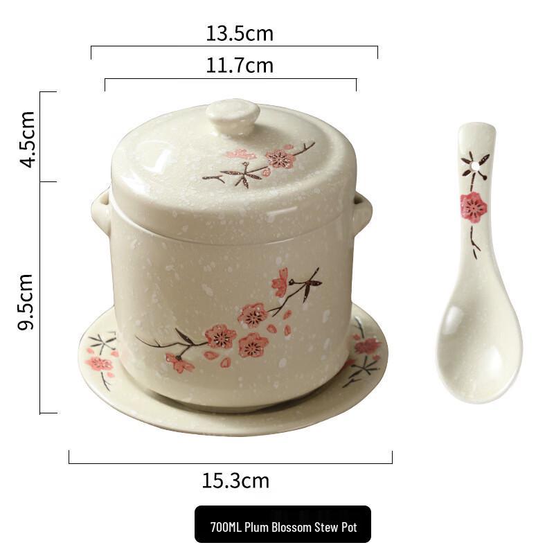 Aiqiyi Xuan A1 Ceramic Stew Pot Set 700ml
