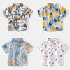 2026 Summer New Seaside Vacation Style Boys Short Sleeves, Trend Lapel Children's Fashion Pattern Shirt