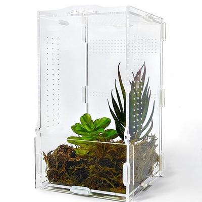 Acryl Springspinne Terrarium Schnallenverschluss Ausbruchsicher Spinnenhaus Transparent Belüftet Reptilien Futterbecken