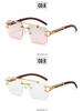 Nowe okulary przeciwsłoneczne kwadratowe bezramkowe z podwójnym mostkiem - Unisex Moda Europejska i Amerykańska Wzór Leopard