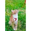 Automatic Dog Leash Blue 3m - Strong and Comfortable to Use up to 11kg