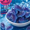 Lotte Haai-vormige Gummy Snoep 70g
