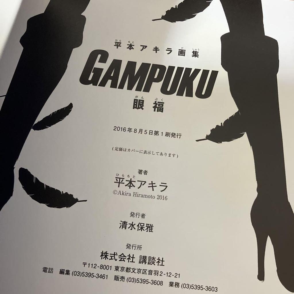 [USED] Akira Hiramoto Art Collection GAMPUKU Eye Pleasure